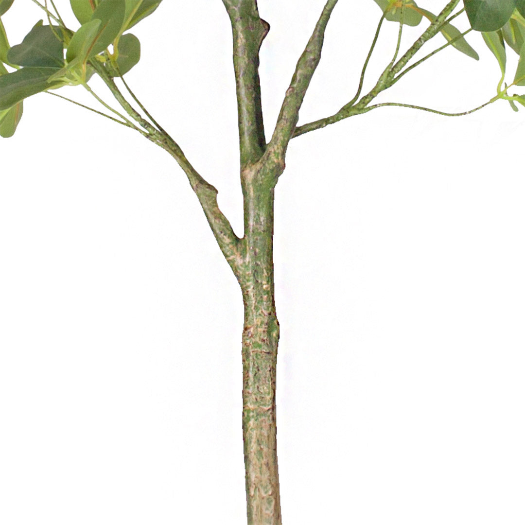 SOGA 160cm Artificial Natural Green Schefflera Dwarf Umbrella Tree Fake Tropical Indoor Plant Home Office Decor • LUZ-APlantQXY160