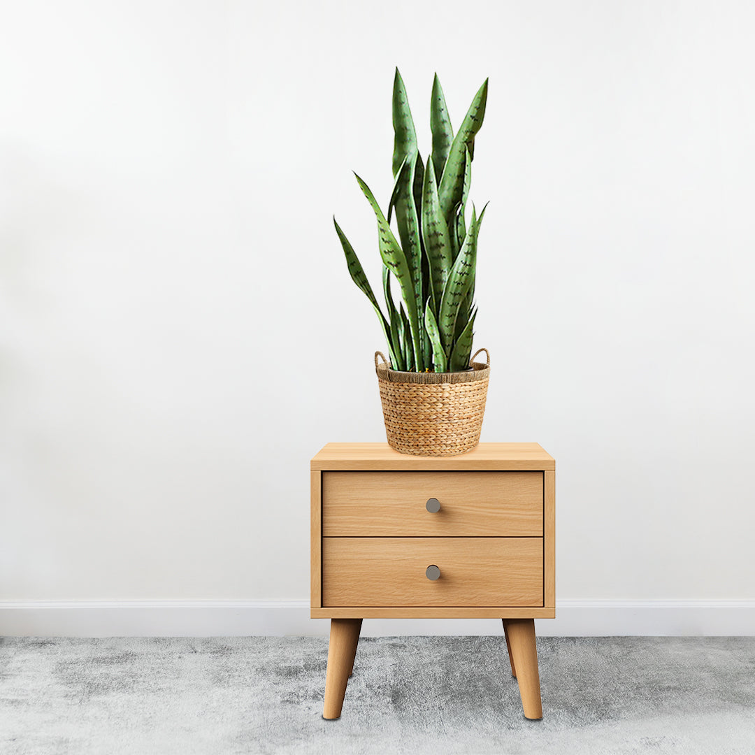 SOGA 2X 97cm Sansevieria Snake Artificial Plants with Black Plastic Planter Greenery, Home Office Decor • LUZ-APlantFH9712X2
