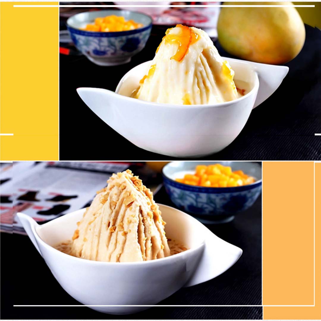 SOGA 2X Ice Shaver Commercial Electric Stainless Steel Ice Crusher Slicer Machine 120KG/h • LUZ-CommercialElectricIceShaver168X2