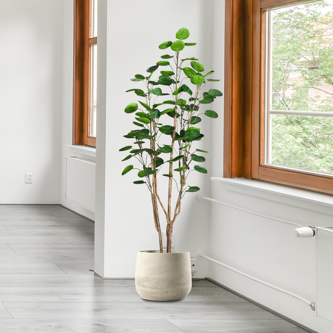 SOGA 180cm Plastic Potted Polyscias Scutellaria Plant Home Garden Artificial Tree, Home Decor • LUZ-APlantFHJQD18080