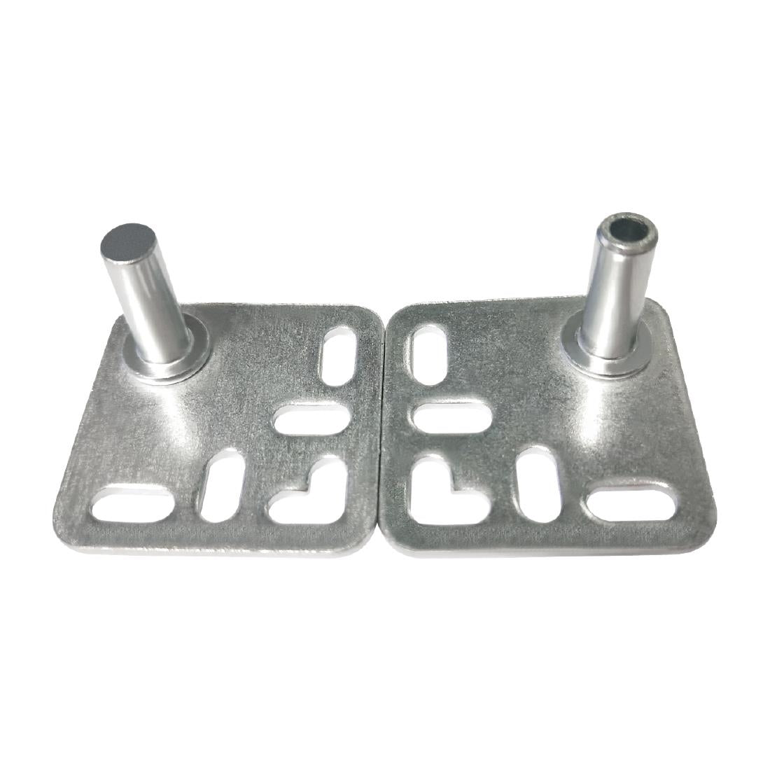 Polar Door Hinge • PAS-AF563