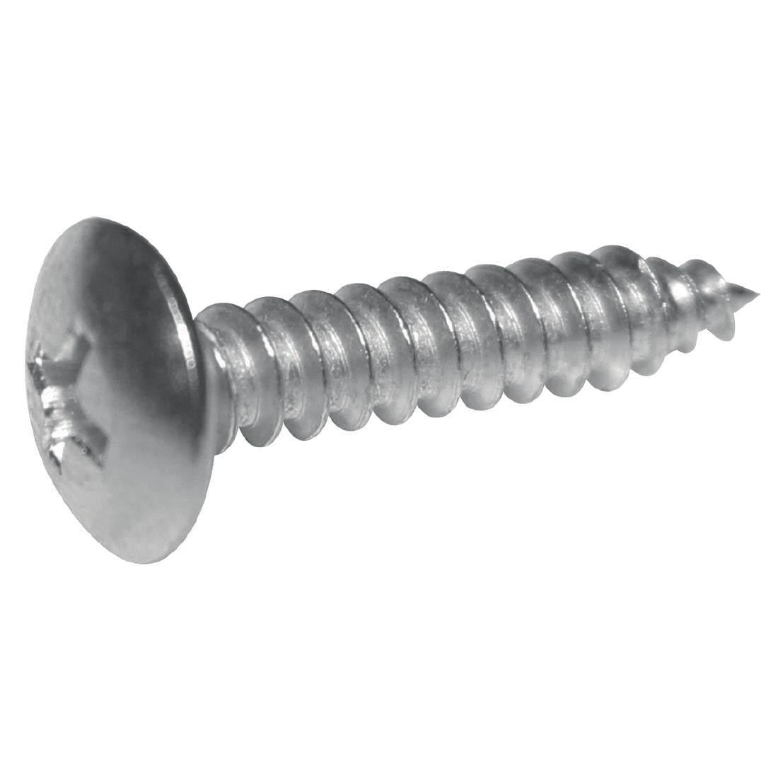 Apuro Stainless Steel Screws • PAS-AG161