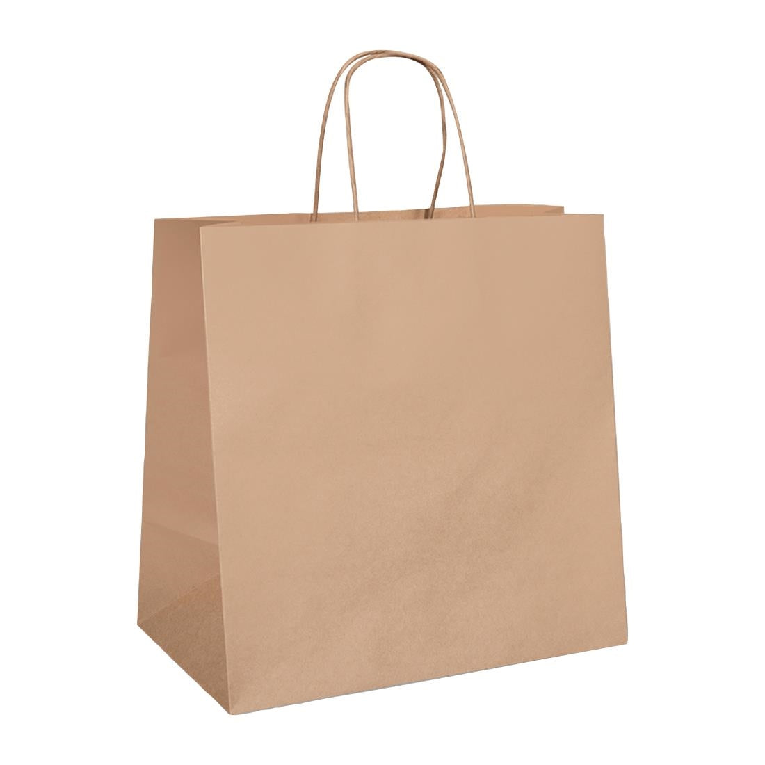 Detpak Large Twist Handle Bag (250 Pack) (Pack of 250) • PAS-DD326