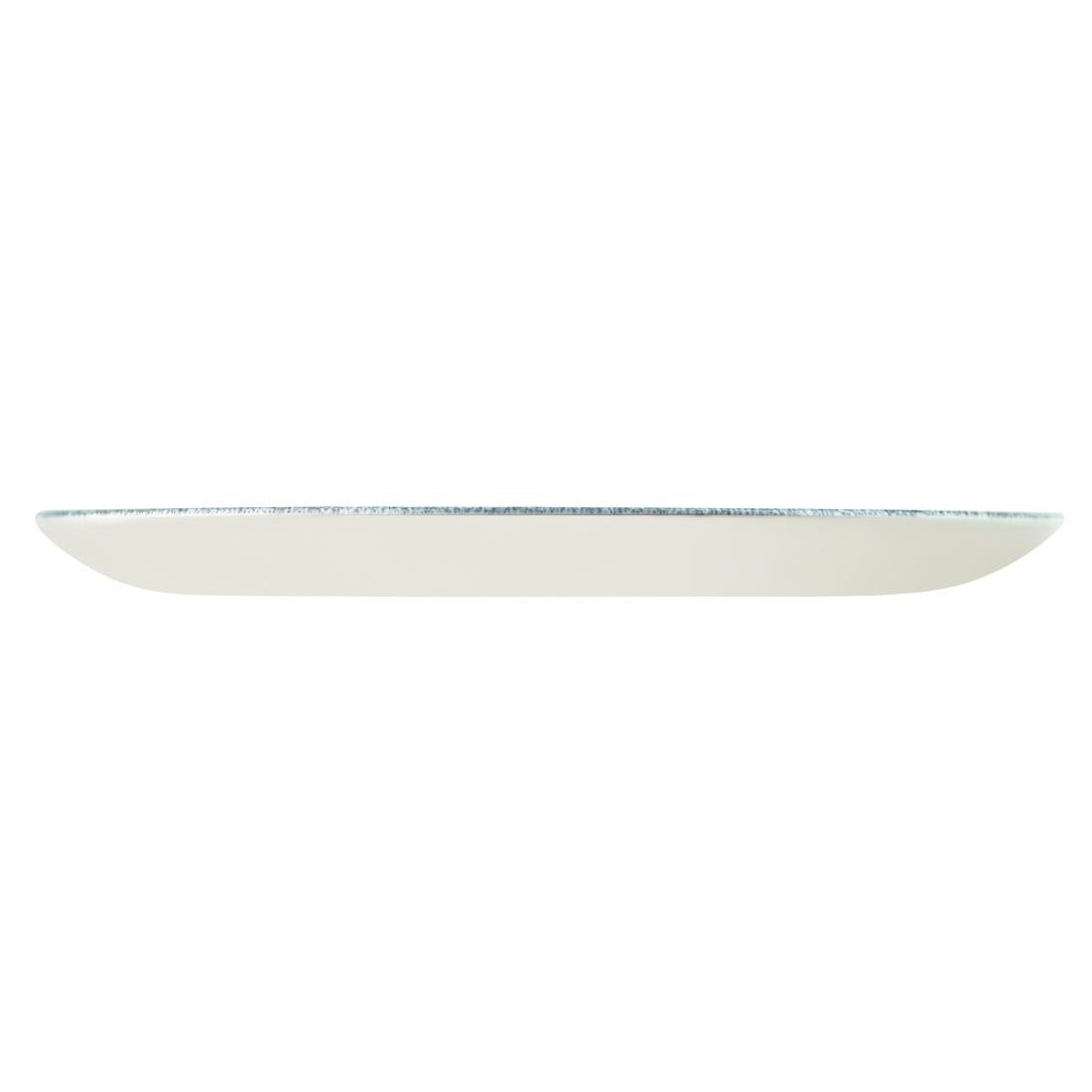 Churchill Studio Prints Raku Round Coupe Plate Topaz Blue 260mm (12 Pack) • PAS-DE883