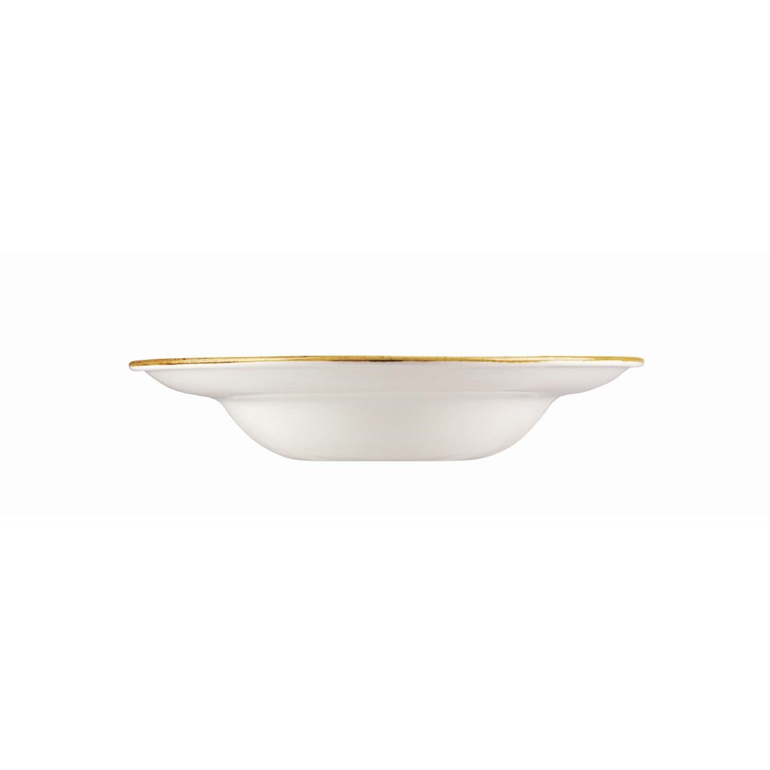 Churchill Stonecast Round Wide Rim Bowl Duck Egg Blue 280mm • PAS-DF800
