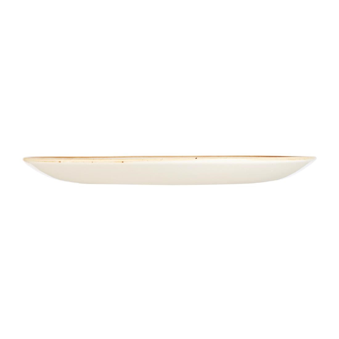 Churchill Stonecast Round Coupe Plate Spiced Orange 260mm (12 Pack) • PAS-DK536