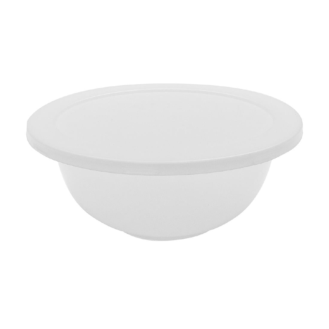 Schneider Plastic Mixing Bowl • PAS-P_DR540