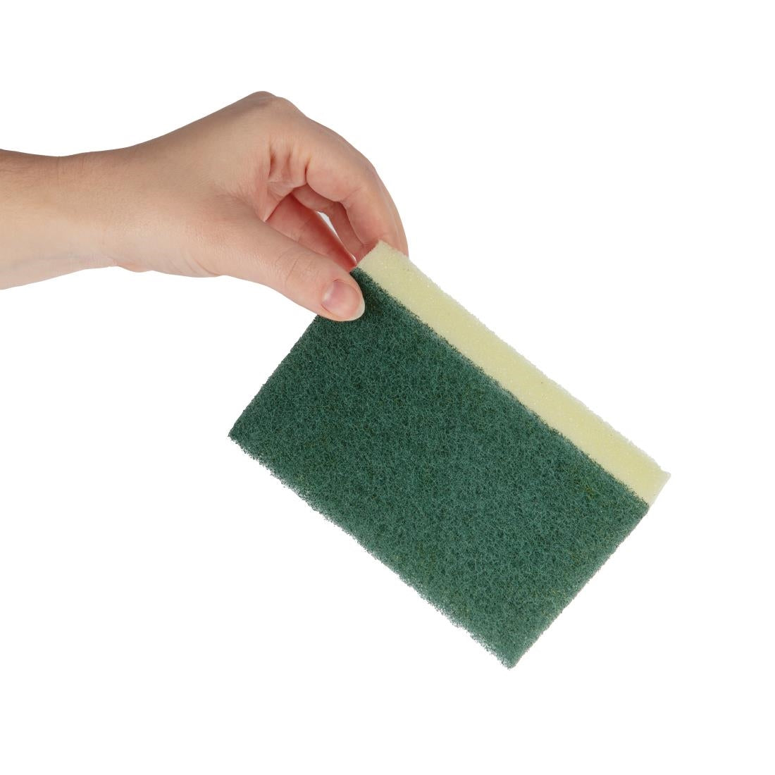 Jantex Sponge Scourers (10 Pack) (Pack Quantity: 10) • PAS-F960