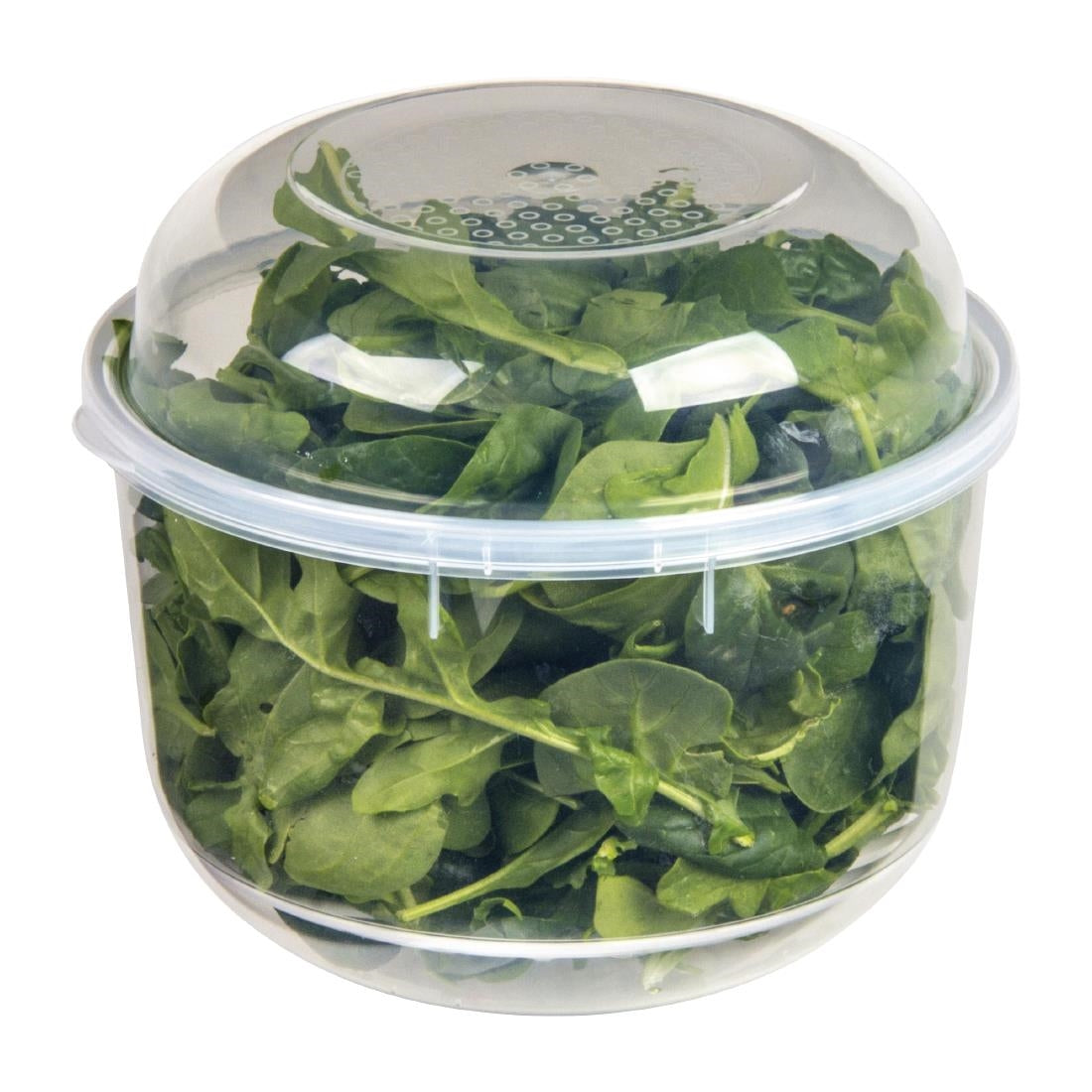 Décor Tellfresh Lettuce & Salad Cripser White • PAS-FY504