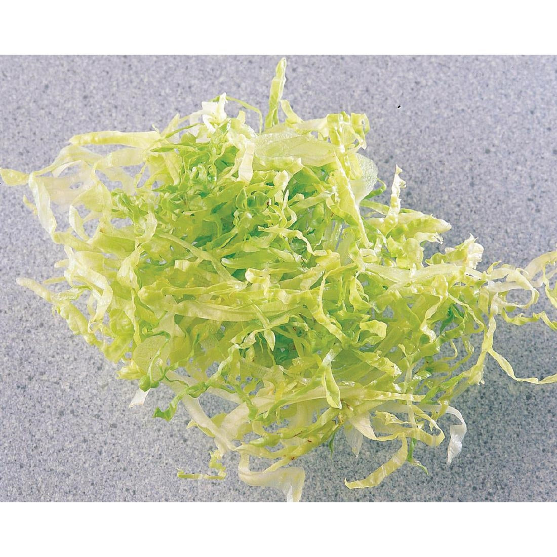 Robot Coupe 2mm Slicer Disc 27555 • PAS-J564