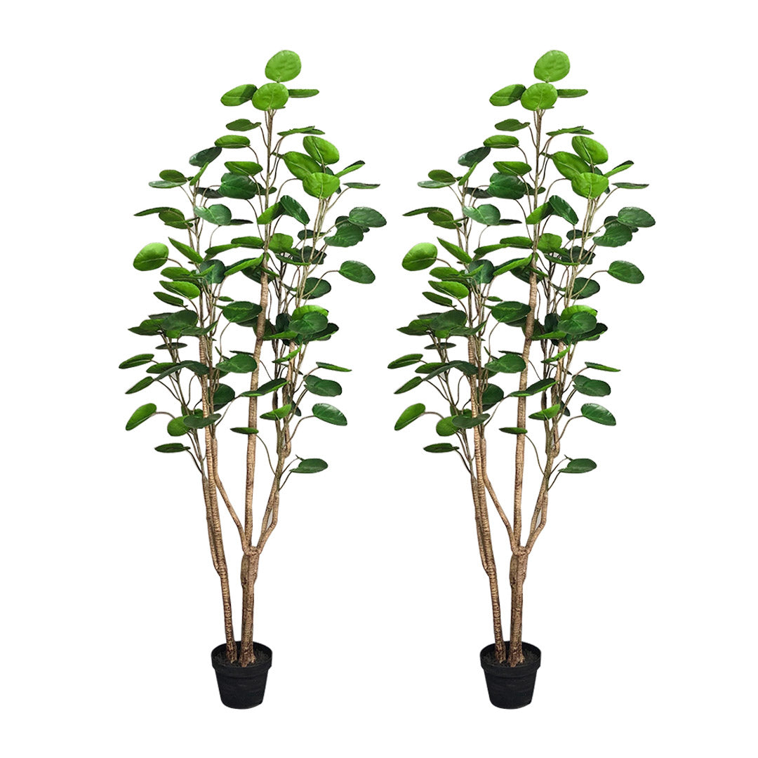 SOGA 2X 180cm Plastic Potted Polyscias Scutellaria Plant Home Garden Artificial Tree, Home Decor • LUZ-APlantFHJQD18080X2