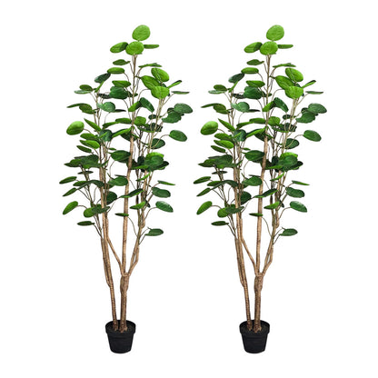 SOGA 2X 180cm Plastic Potted Polyscias Scutellaria Plant Home Garden Artificial Tree, Home Decor • LUZ-APlantFHJQD18080X2