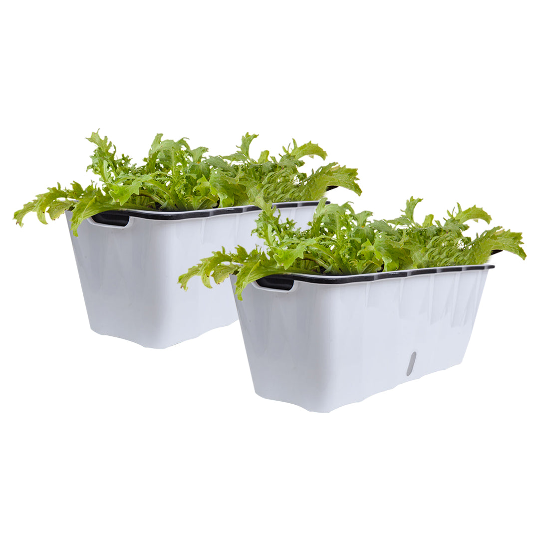 SOGA 2X Large White Rectangular Flowerpot Vegetable Herb Flower Outdoor Plastic Box Garden Decor • LUZ-PlantBox2K