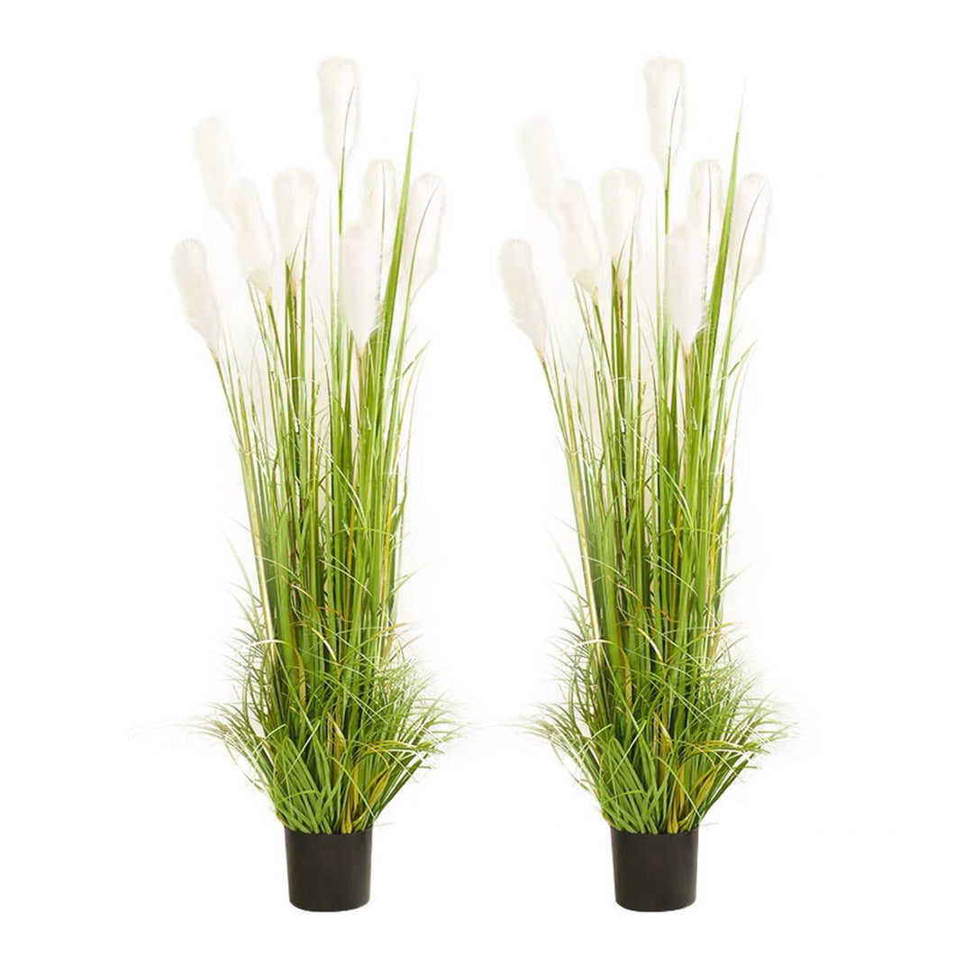 SOGA 2X 150cm Wheat Plume Grass Artificial Plant, Home Decor • LUZ-APlantFH6003X2