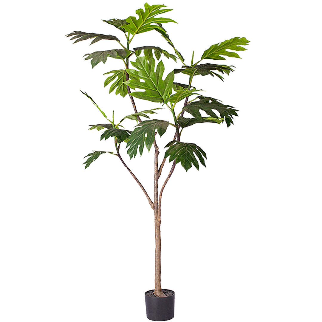 SOGA 180cm Artificial Natural Green Split-Leaf Philodendron Tree Fake Tropical Indoor Plant Home Office Decor • LUZ-APlantMBS18026