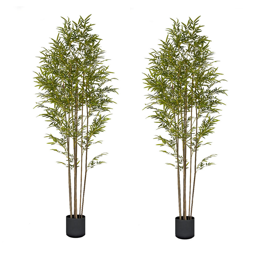 SOGA 2X 240cm Lucky Bamboo Tree Bambusa Vulgaris Artificial Plant w/ 7 Branches Home Accent Decor • LUZ-APlantFHZ24X2