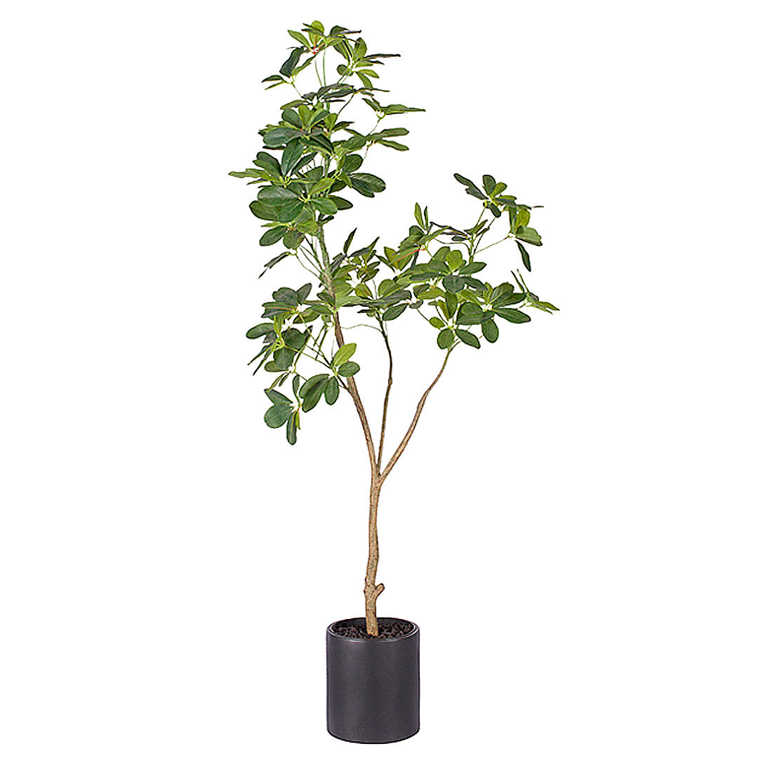 SOGA 160cm Artificial Natural Green Schefflera Dwarf Umbrella Tree Fake Tropical Indoor Plant Home Office Decor • LUZ-APlantQXY160