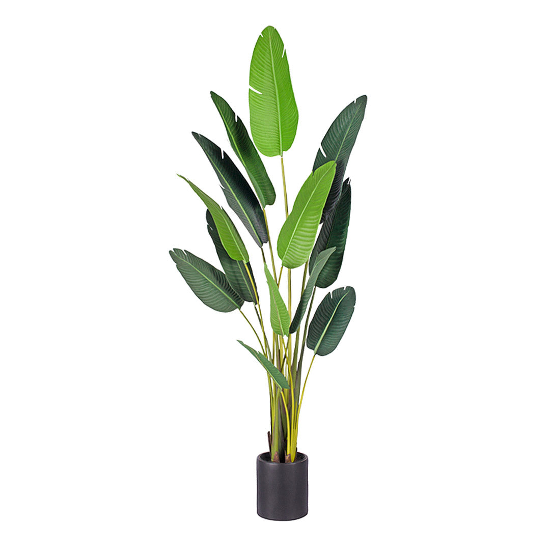 SOGA 220cm Artificial Giant Green Birds of Paradise Tree Fake Tropical Indoor Plant Home Office Decor • LUZ-APlantM22013