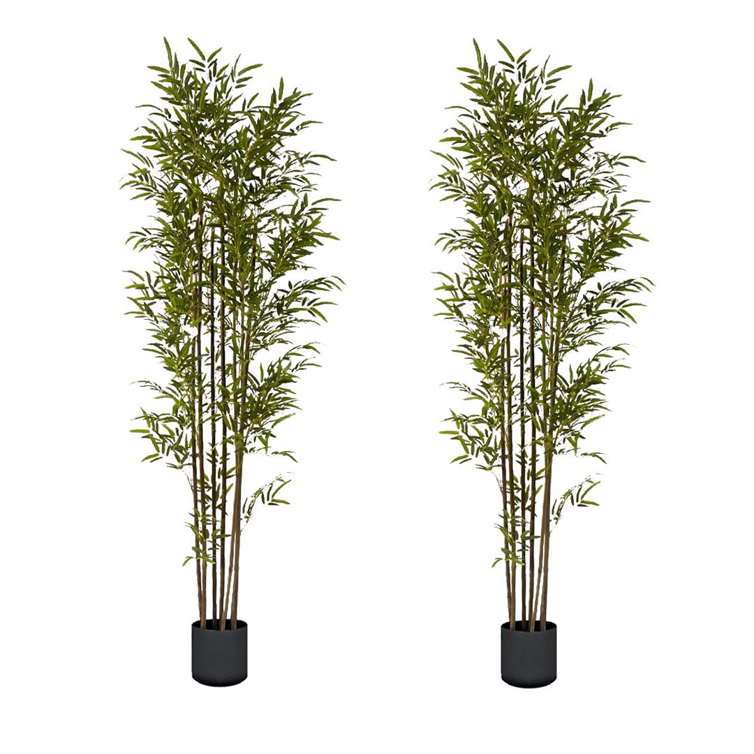 SOGA 2X 210cm Lucky Bamboo Tree Bambusa Vulgaris Artificial Plant w/ 7 Branches Home Accent Decor • LUZ-APlantFHZ210X2