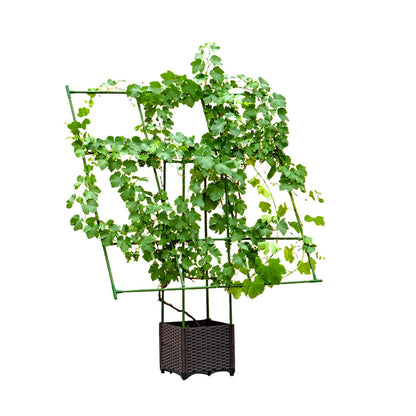 SOGA 160cm Rectangular Inclined Plant Frame Tube Pergola Trellis Vegetable Flower Herbs Outdoor Vine Support Garden Rack • LUZ-PlantTube5P