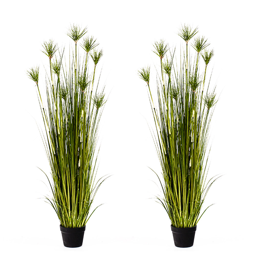 SOGA 2X 150cm Cyperus Papyrus Plant Tree Artificial Green Grass, Home Or Office Indoor Greenery Accent • LUZ-APlantFH60142X2
