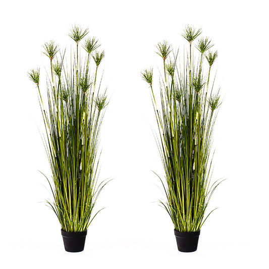 SOGA 2X 150cm Cyperus Papyrus Plant Tree Artificial Green Grass, Home Or Office Indoor Greenery Accent • LUZ-APlantFH60142X2