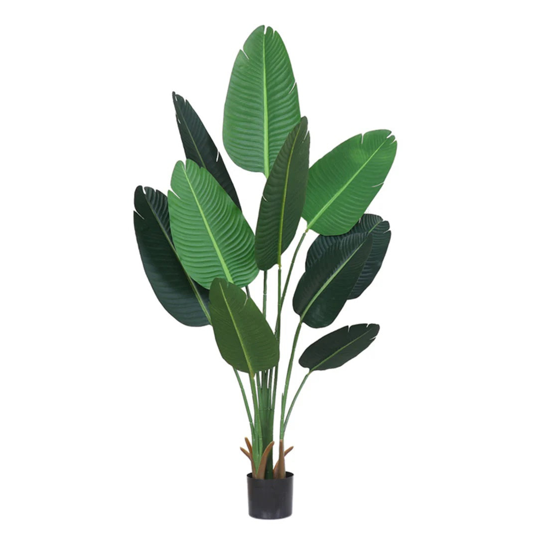 SOGA 180cm Artificial Bird of Paradise Plants Fake Tropical Palm Tree with 10 in Pot and Woven Seagrass Belly, Home Decor • LUZ-APlantFHM18013