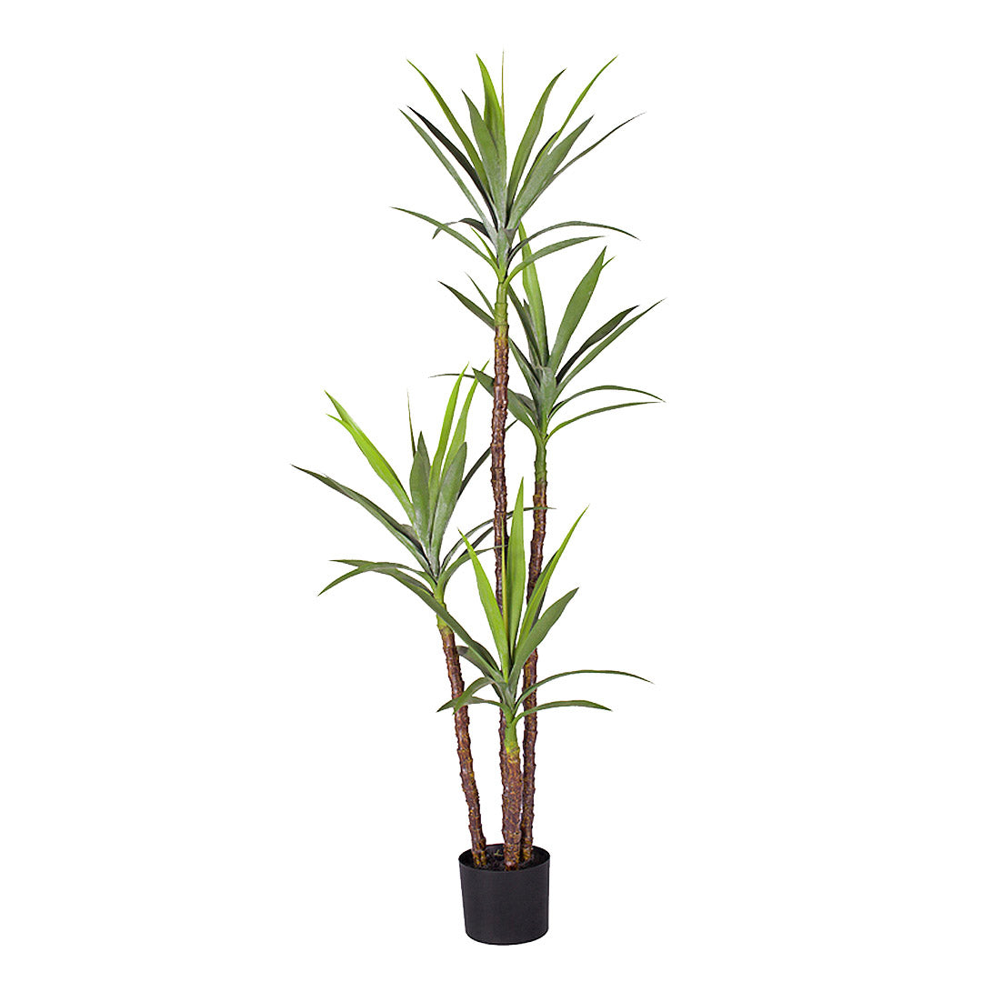 SOGA 180cm Artificial Natural Green Dracaena Yucca Tree Fake Tropical Indoor Plant Home Office Decor • LUZ-APlantJL1804
