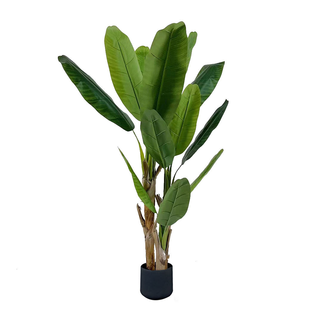 SOGA 220cm Banna Plant Bird of Paradise Tree Artificial Plant Home Accent Decor • LUZ-APlantBJS220