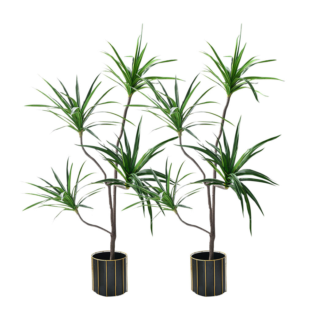 SOGA 2X 180cm Realistic Artificial Dracaena, Rubberised Silk Cloth + Iron Wire, Home Decor • LUZ-APlantFHBS180120X2