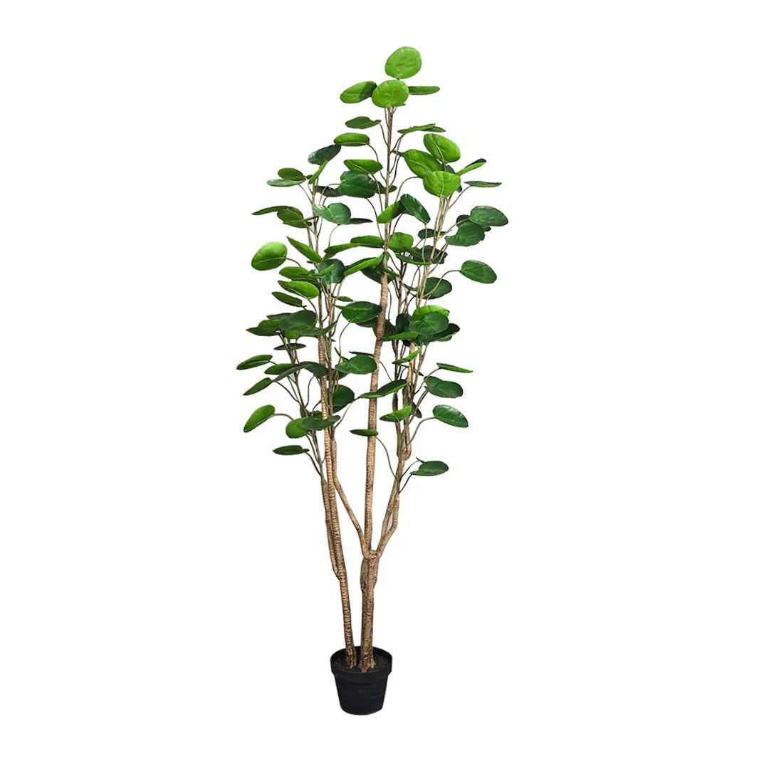 SOGA 180cm Plastic Potted Polyscias Scutellaria Plant Home Garden Artificial Tree, Home Decor • LUZ-APlantFHJQD18080
