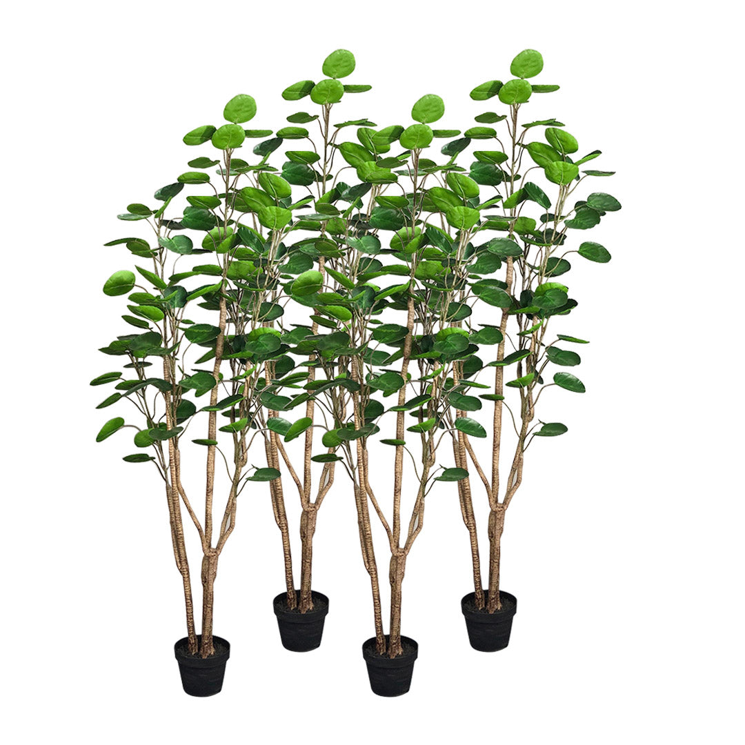 SOGA 4X 180cm Plastic Potted Polyscias Scutellaria Plant Home Garden Artificial Tree, Home Decor • LUZ-APlantFHJQD18080X4