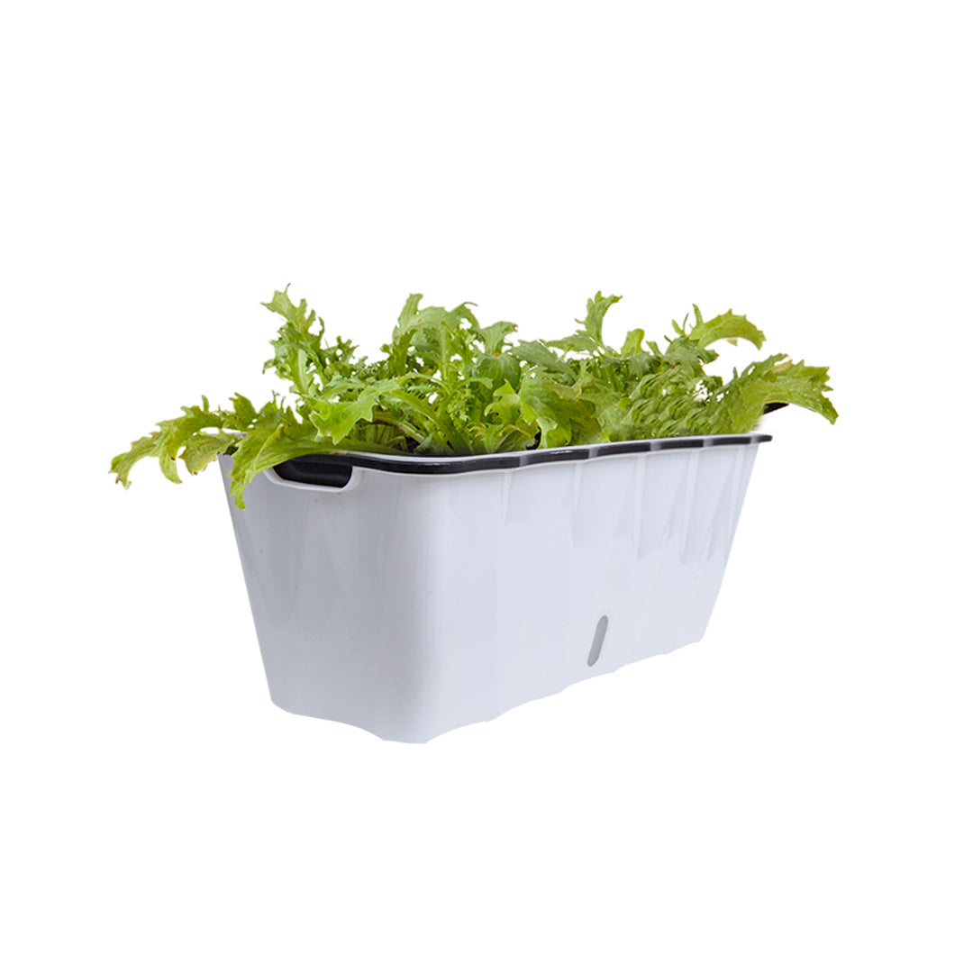 SOGA 50cm Large White Rectangular Flowerpot Vegetable Herb Flower Outdoor Plastic Box Garden Decor • LUZ-PlantBox1K