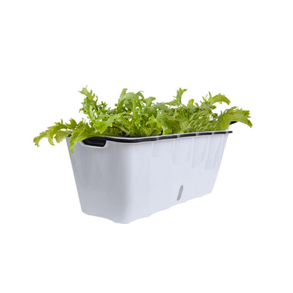 SOGA 50cm Large White Rectangular Flowerpot Vegetable Herb Flower Outdoor Plastic Box Garden Decor • LUZ-PlantBox1K
