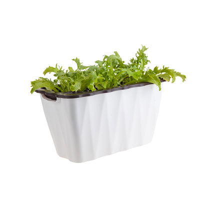 SOGA 35cm Small White Rectangular Flowerpot Vegetable Herb Flower Outdoor Plastic Box Garden Decor • LUZ-PlantBox3K