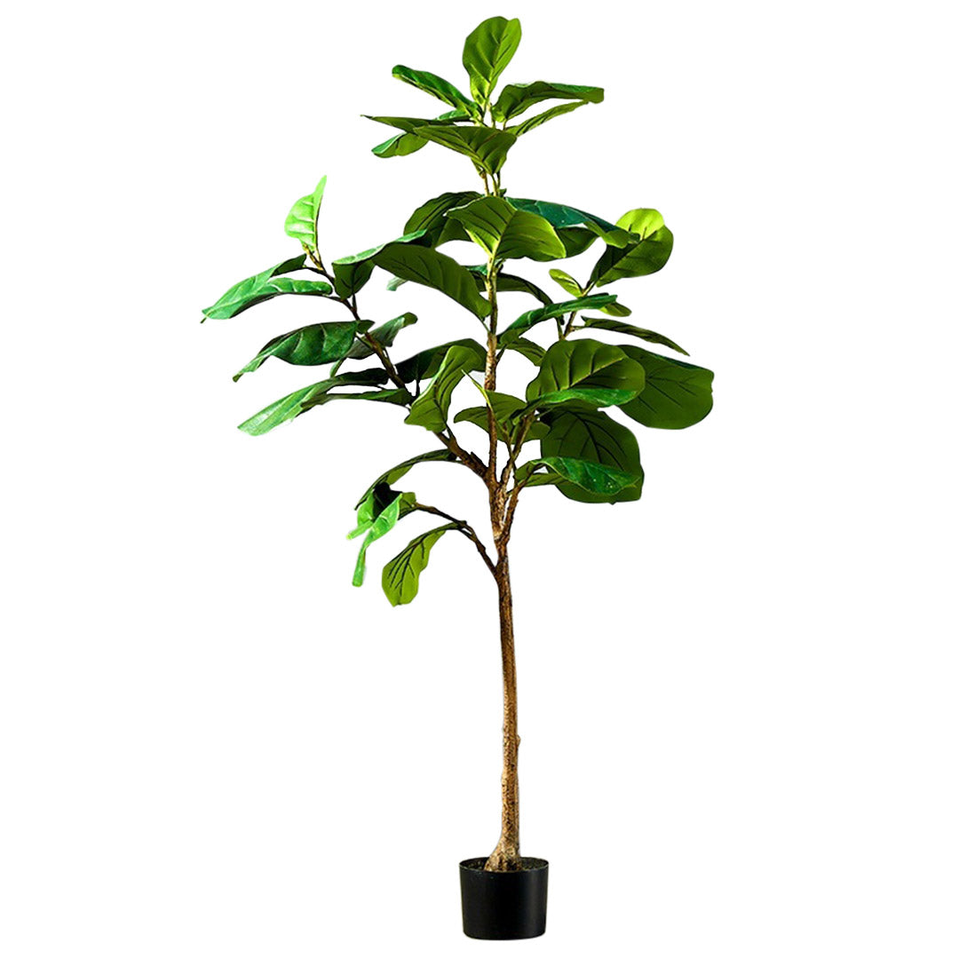 SOGA 155cm Green Artificial Indoor Qin Yerong Tree Fake Plant Simulation Decorative • LUZ-APlantFH15536