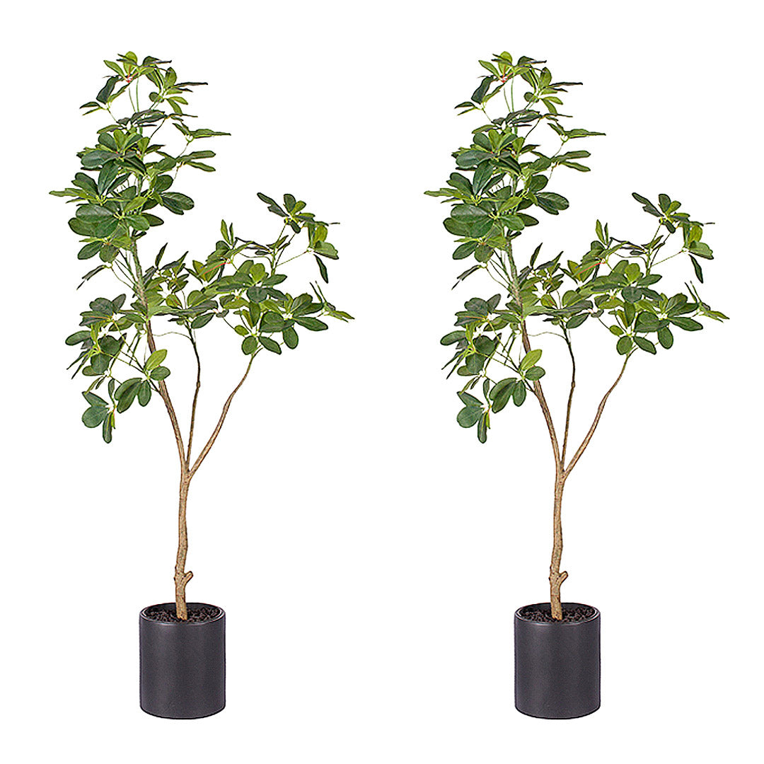 SOGA 2X 160cm Artificial Natural Green Schefflera Dwarf Umbrella Tree Fake Tropical Indoor Plant Home Office Decor • LUZ-APlantQXY160X2