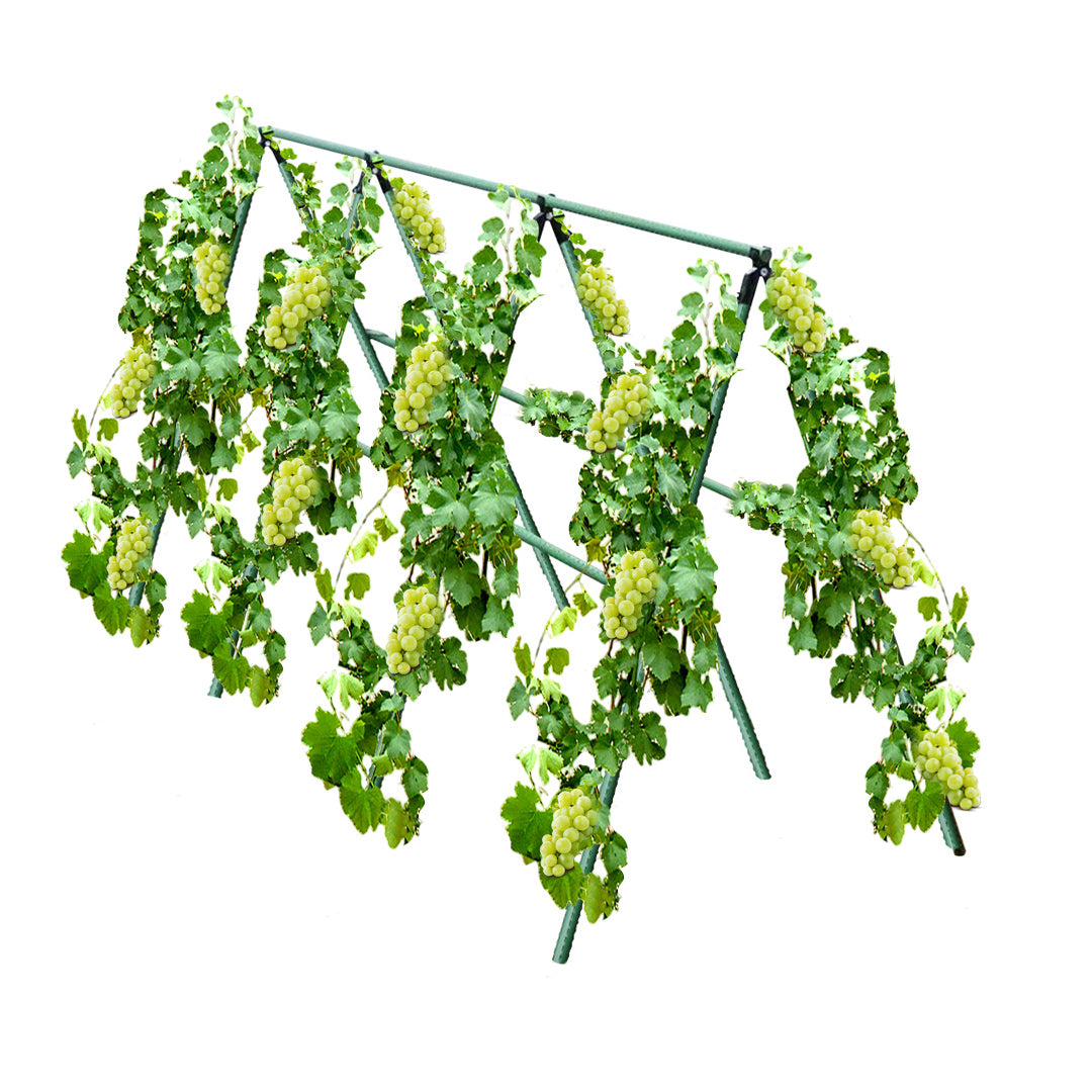 SOGA 120cm Plant Frame Tube Trellis Vegetable Flower Herbs Outdoor Vine Support Adjustable Garden Rack • LUZ-PlantTube2Q