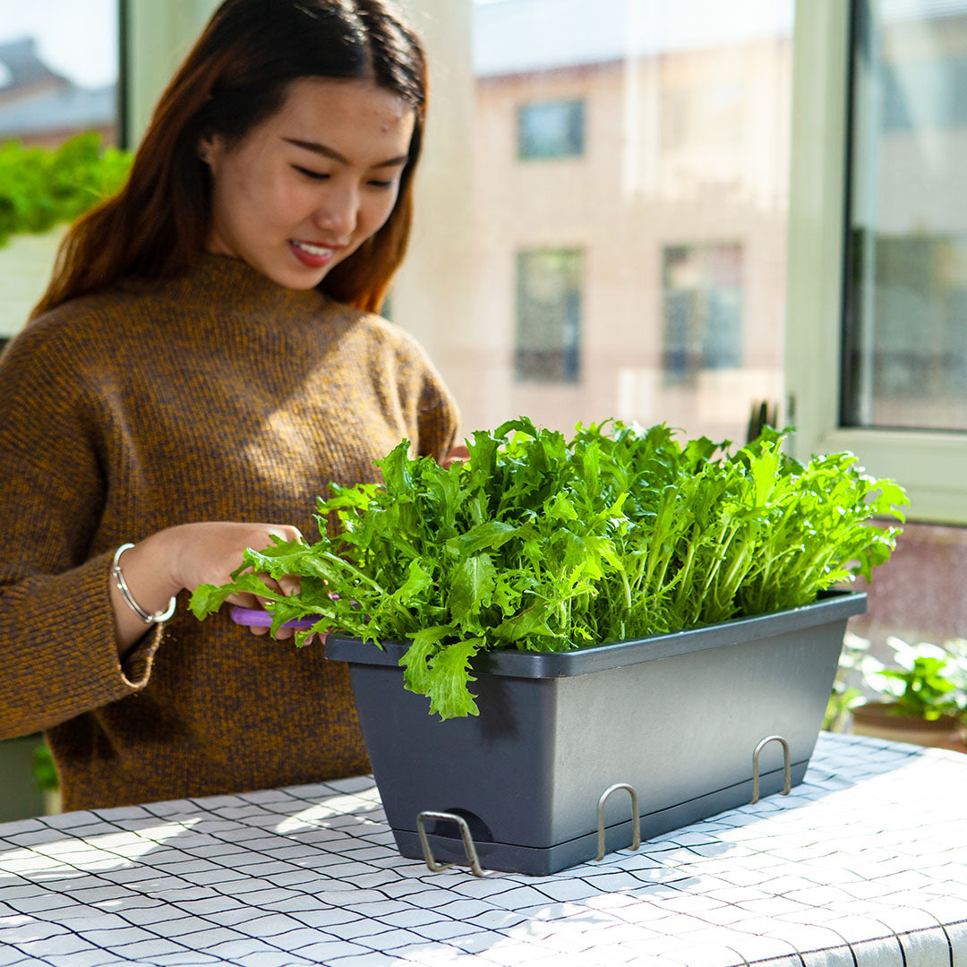 SOGA 49.5cm Black Rectangular Planter Vegetable Herb Flower Outdoor Plastic Box with Holder Balcony Garden Decor Set of 3 • LUZ-PlantBox3G