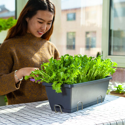 SOGA 49.5cm Black Rectangular Planter Vegetable Herb Flower Outdoor Plastic Box with Holder Balcony Garden Decor Set of 3 • LUZ-PlantBox3G