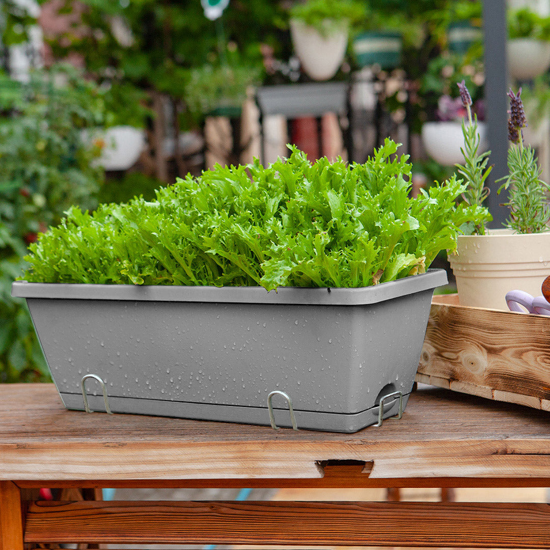 SOGA 49.5cm Gray Rectangular Planter Vegetable Herb Flower Outdoor Plastic Box with Holder Balcony Garden Decor Set of 5 • LUZ-PlantBox5H