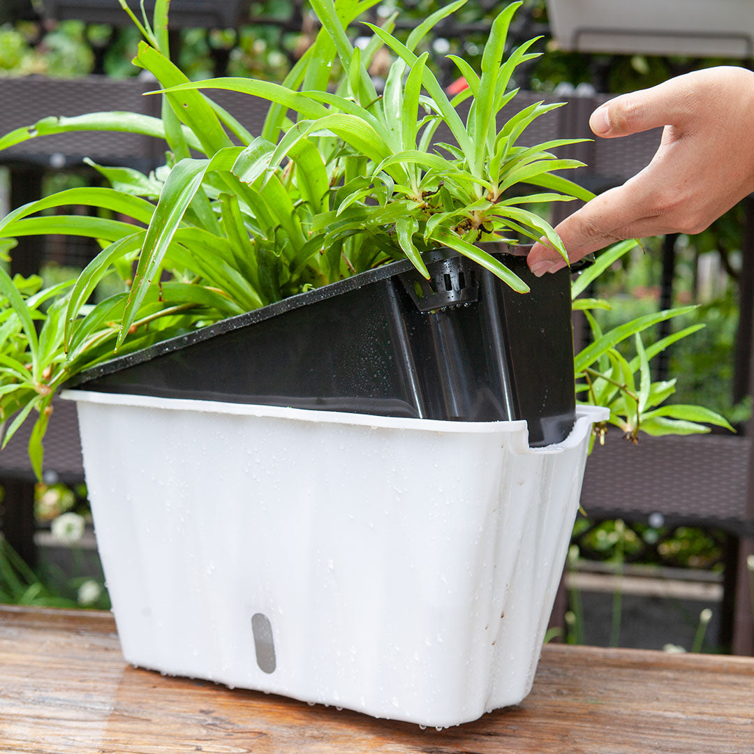 SOGA 35cm Small White Rectangular Flowerpot Vegetable Herb Flower Outdoor Plastic Box Garden Decor • LUZ-PlantBox3K