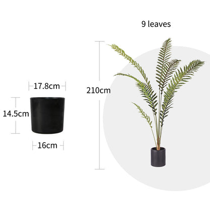 SOGA 2X 210cm Artificial Green Rogue Hares Foot Fern Tree Fake Tropical Indoor Plant Home Office Decor • LUZ-APlantLGY2109X2