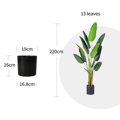 SOGA 2X 220cm Artificial Giant Green Birds of Paradise Tree Fake Tropical Indoor Plant Home Office Decor • LUZ-APlantM22013X2