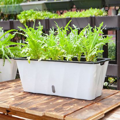 SOGA 2X Large White Rectangular Flowerpot Vegetable Herb Flower Outdoor Plastic Box Garden Decor • LUZ-PlantBox2K