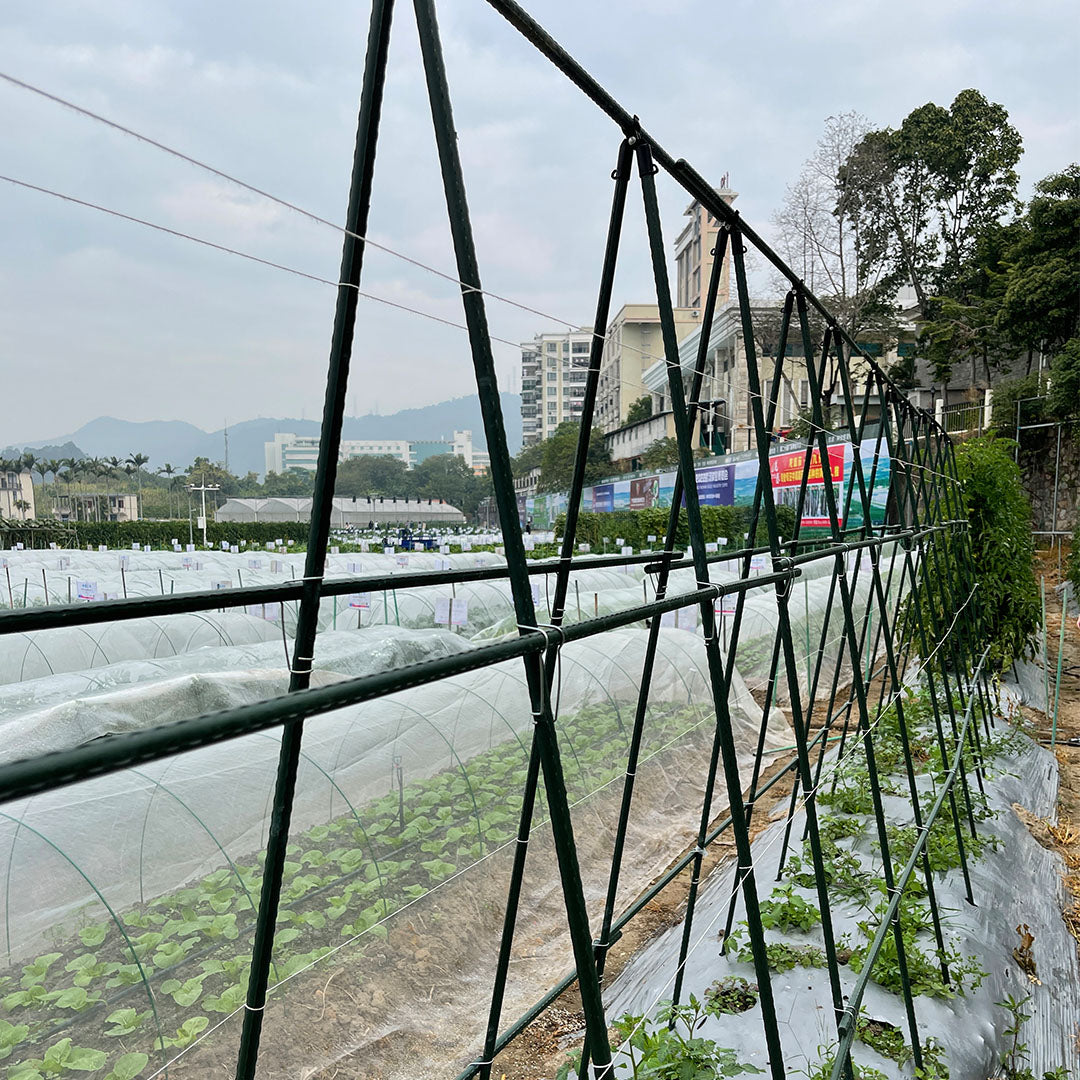 SOGA 150X90cm Plant Frame Tube Trellis Vegetable Flower Herbs Outdoor Vine Support Adjustable Garden Rack • LUZ-PlantTube3M