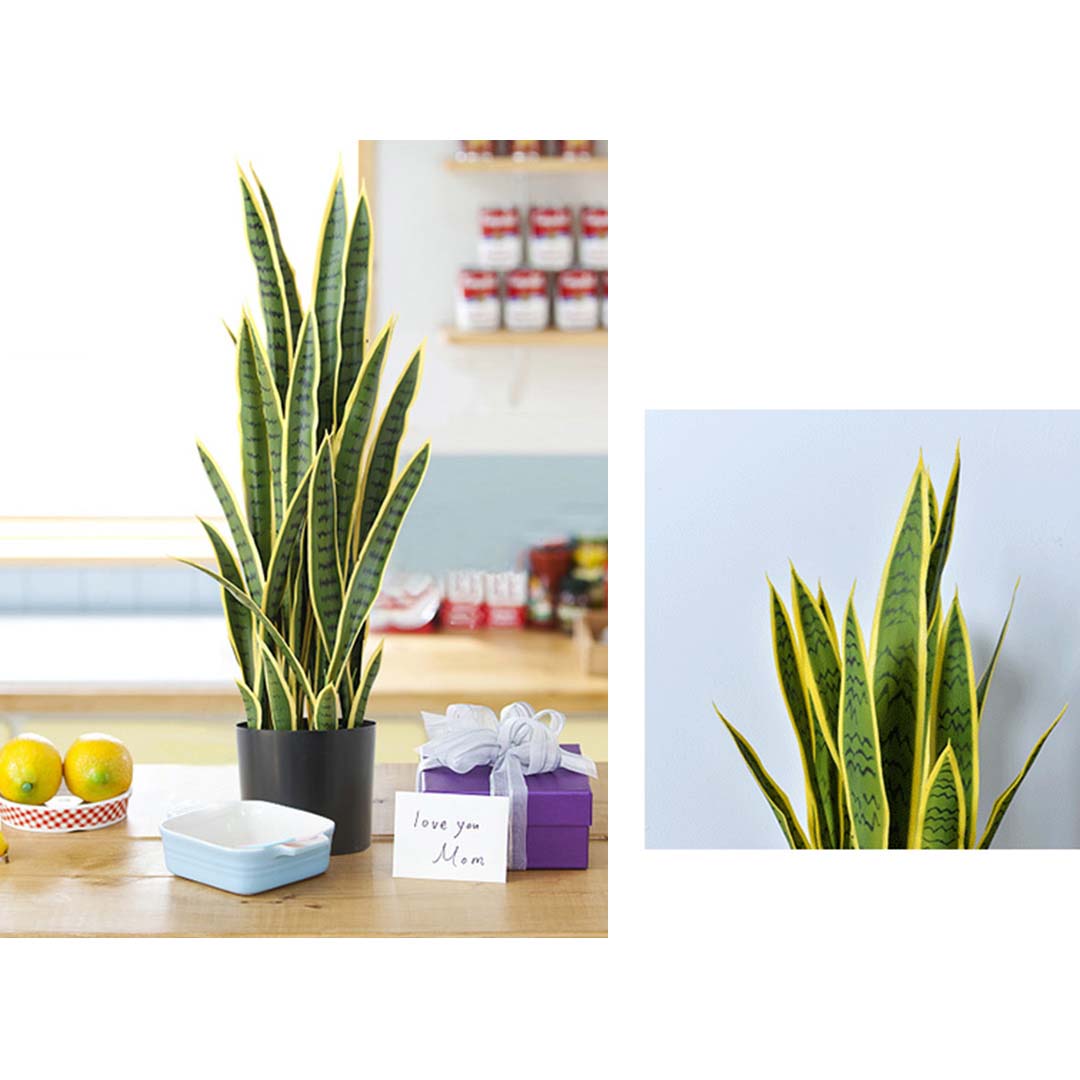 SOGA 70cm Artificial Indoor Yellow Edge Tiger Piran Fake Decoration Tree Flower Pot Plant • LUZ-APlantFH0102Y