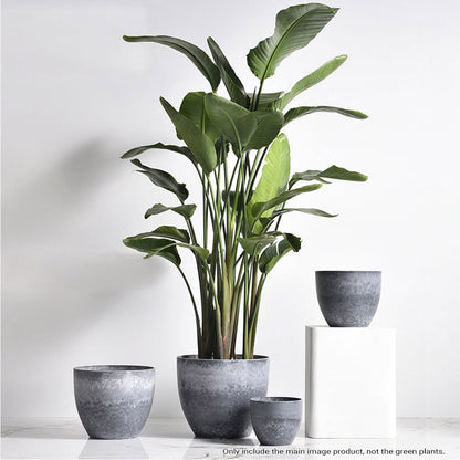 SOGA 2X 27cm Weathered Grey Round Resin Plant Flower Pot in Cement Pattern Planter Cachepot for Indoor Home Office • LUZ-FPotA3210X2