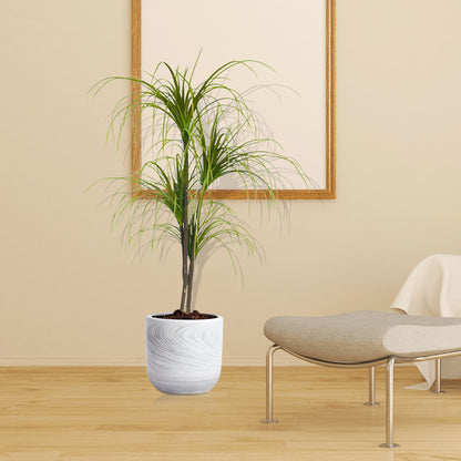 SOGA 150cm Artificial Dracaena Plant Fake Potted, Simulation Tree Fake Plant Home Decor • LUZ-APlantFHL1504