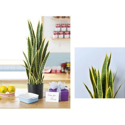 SOGA 95cm Artificial Indoor Yellow Edge Tiger Piran Fake Decoration Tree Flower Pot Plant • LUZ-APlantFH0105Y